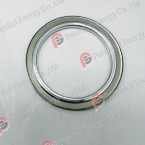D123843 SEAL, PLENUM, ION GAUGE